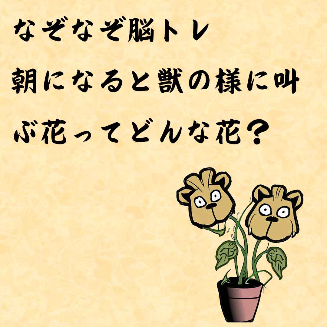 なぞなぞ高齢者介護　朝になると獣の様に叫ぶ花ってどんな花？