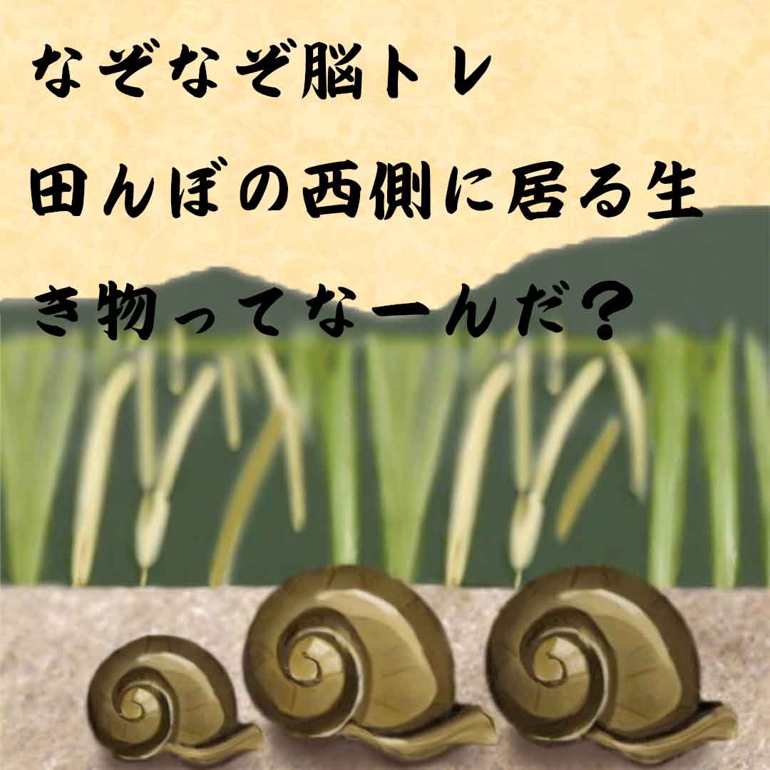 なぞなぞ高齢者介護　田んぼの西側に居る生き物ってなーんだ？